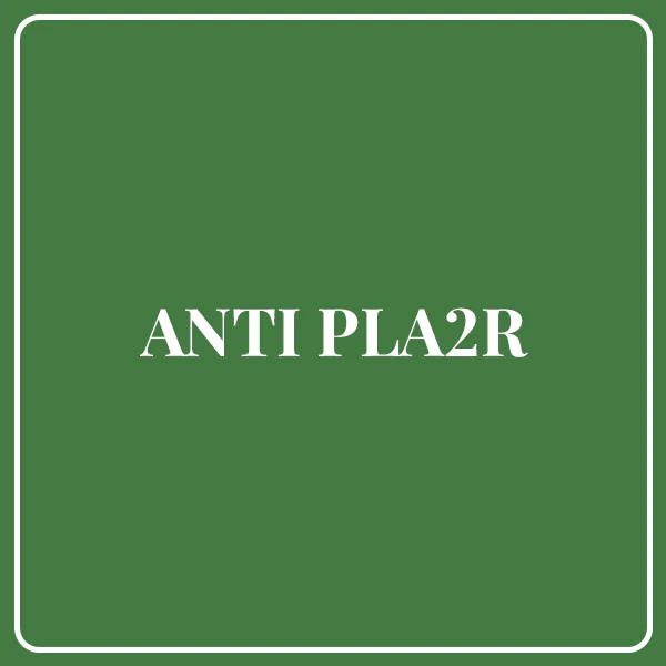 Anti PLA2R