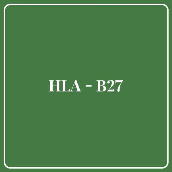 HLA - B27
